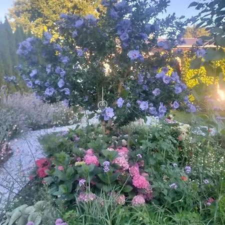 _solaris_ Heringsdorf